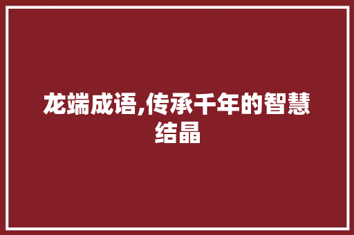 龙端成语,传承千年的智慧结晶