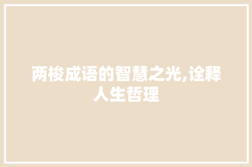 两梭成语的智慧之光,诠释人生哲理 演讲稿