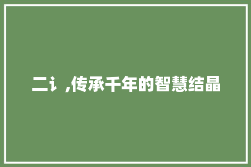 二讠,传承千年的智慧结晶