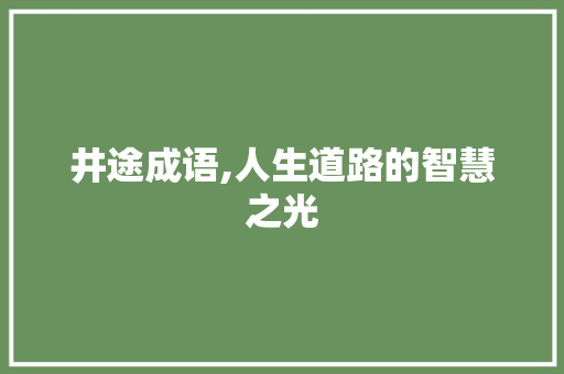 井途成语,人生道路的智慧之光