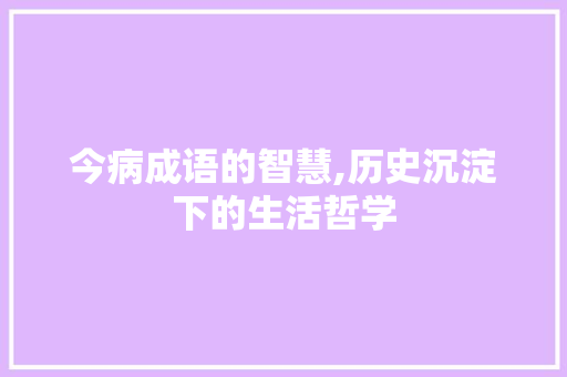 今病成语的智慧,历史沉淀下的生活哲学