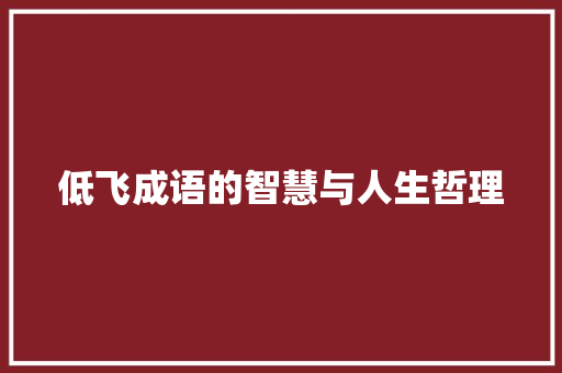 低飞成语的智慧与人生哲理