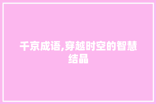 千京成语,穿越时空的智慧结晶