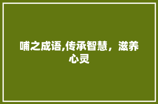 哺之成语,传承智慧，滋养心灵 演讲稿