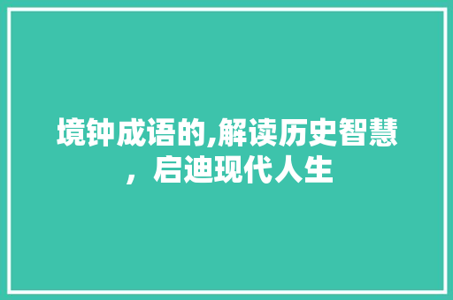 境钟成语的,解读历史智慧，启迪现代人生 工作总结