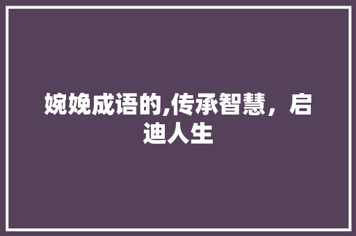 婉娩成语的,传承智慧，启迪人生