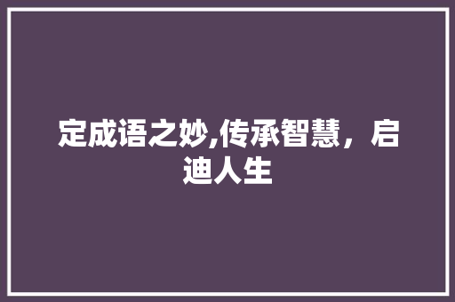 定成语之妙,传承智慧，启迪人生
