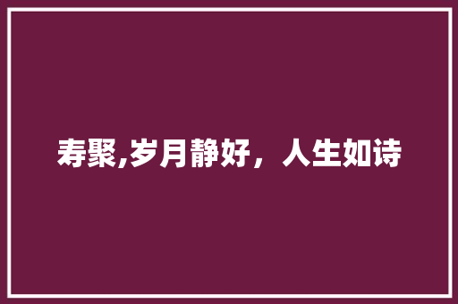 寿聚,岁月静好，人生如诗 工作总结