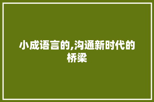 小成语言的,沟通新时代的桥梁