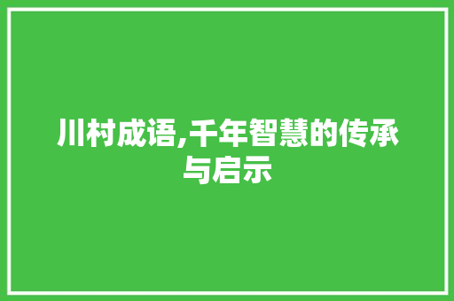 川村成语,千年智慧的传承与启示 演讲稿