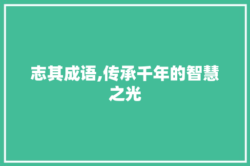 志其成语,传承千年的智慧之光