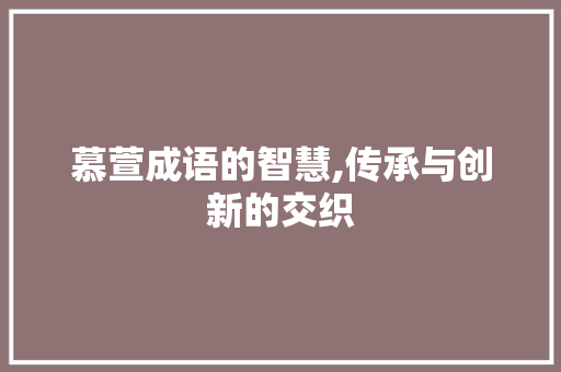 慕萱成语的智慧,传承与创新的交织 演讲稿