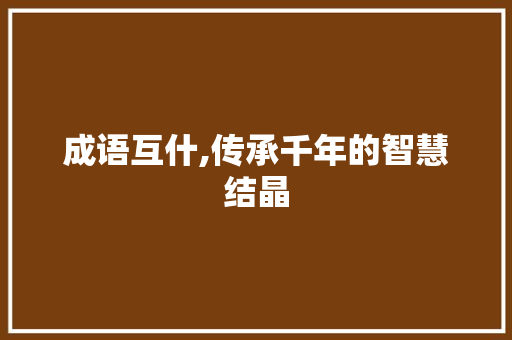 成语互什,传承千年的智慧结晶
