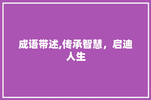成语带述,传承智慧，启迪人生