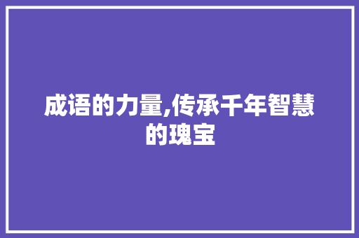 成语的力量,传承千年智慧的瑰宝 个人简历