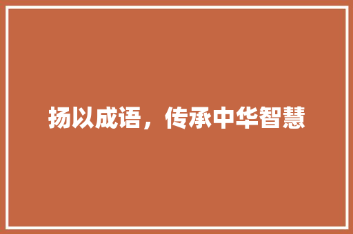 扬以成语，传承中华智慧