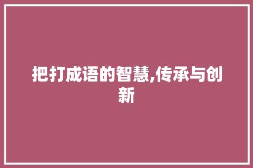 把打成语的智慧,传承与创新