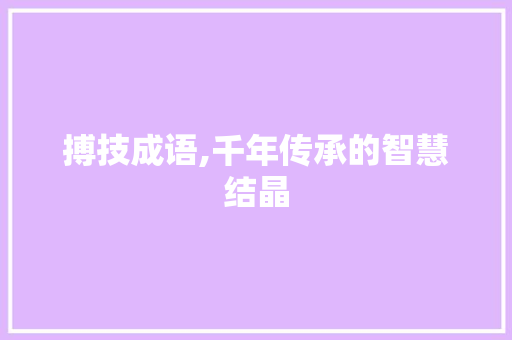 搏技成语,千年传承的智慧结晶