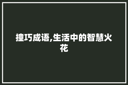 撞巧成语,生活中的智慧火花