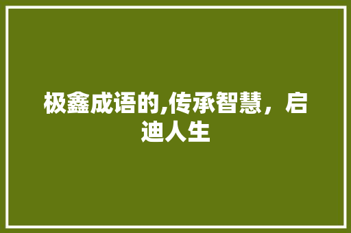 极鑫成语的,传承智慧，启迪人生