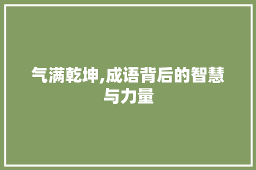 气满乾坤,成语背后的智慧与力量