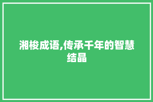 湘梭成语,传承千年的智慧结晶 国学经典
