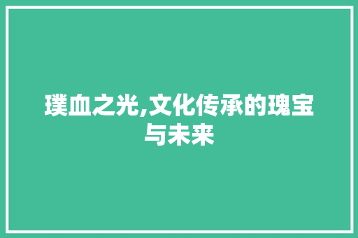 璞血之光,文化传承的瑰宝与未来