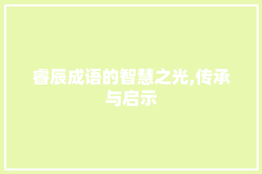睿辰成语的智慧之光,传承与启示