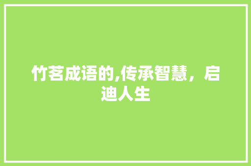 竹茗成语的,传承智慧，启迪人生