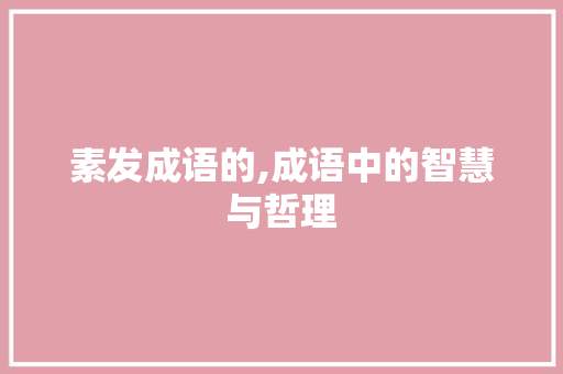 素发成语的,成语中的智慧与哲理