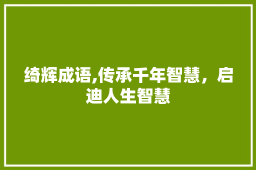 绮辉成语,传承千年智慧，启迪人生智慧