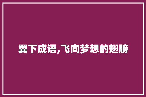 翼下成语,飞向梦想的翅膀