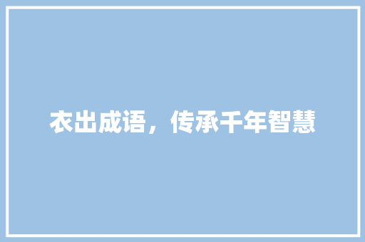 衣出成语，传承千年智慧