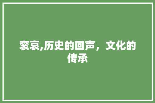 衮哀,历史的回声，文化的传承