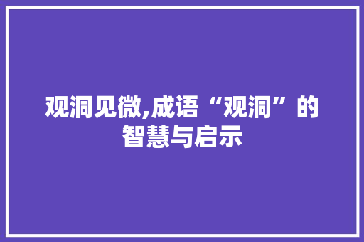 观洞见微,成语“观洞”的智慧与启示