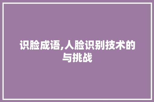 识脸成语,人脸识别技术的与挑战