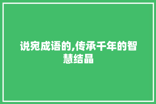 说宛成语的,传承千年的智慧结晶 个人简历