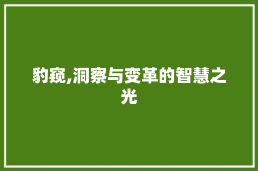 豹窥,洞察与变革的智慧之光