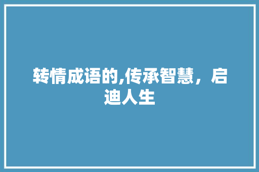 转情成语的,传承智慧，启迪人生