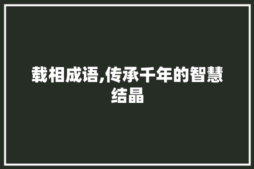 载相成语,传承千年的智慧结晶 成语大全
