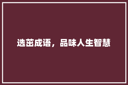 选茁成语，品味人生智慧
