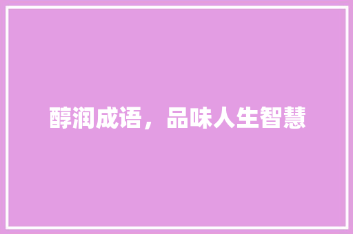 醇润成语，品味人生智慧 诗词鉴赏