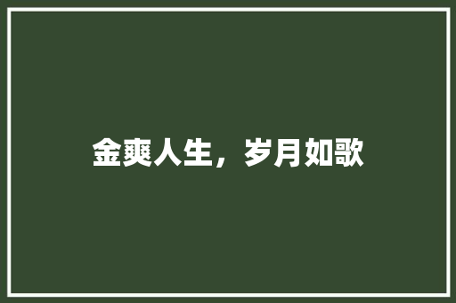金爽人生，岁月如歌