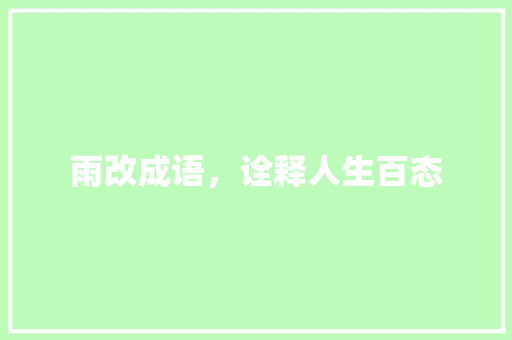 雨改成语，诠释人生百态
