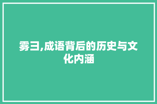 雾彐,成语背后的历史与文化内涵