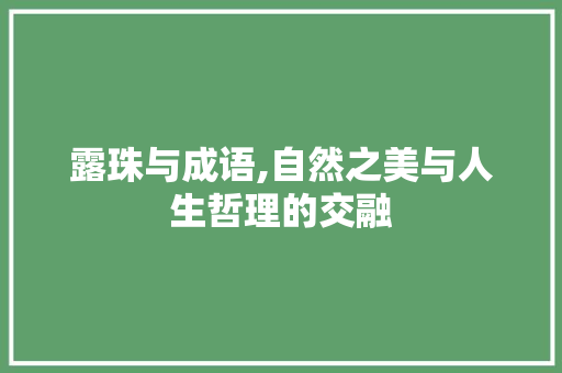 露珠与成语,自然之美与人生哲理的交融