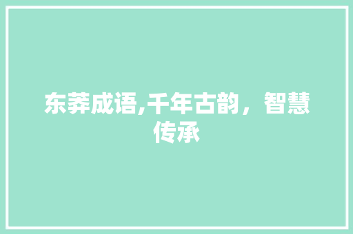 东莽成语,千年古韵，智慧传承