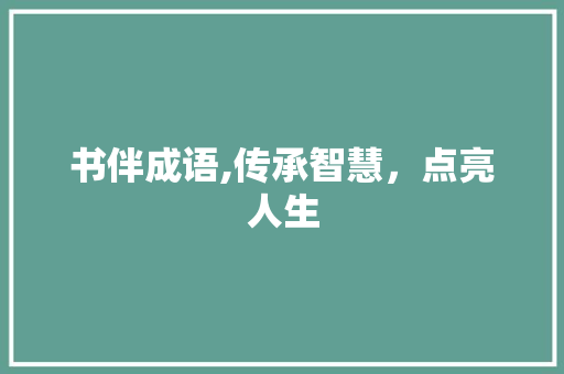 书伴成语,传承智慧，点亮人生