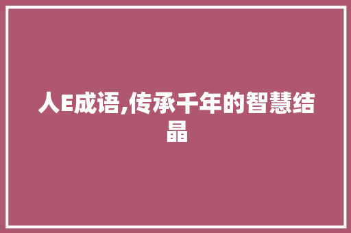 人E成语,传承千年的智慧结晶