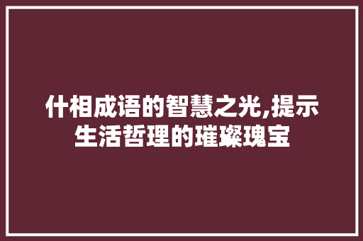 什相成语的智慧之光,提示生活哲理的璀璨瑰宝
